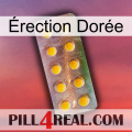 Érection Dorée new11